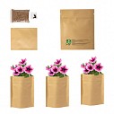 Kituri de plantat flori promotionale cu 5-8 seminte de petunie - AP721479