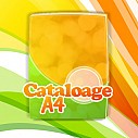 Cataloage A4 portret - preturi si oferte de tipar digital sau offset pentru cataloage A4