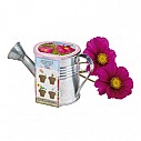 Ghivece de flori promotionale cu seminte de floare - Cosmos 0901013 Ghivece de flori promotionale cu seminte de floare - Cosmos 0901013